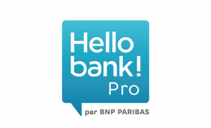 Hello bank! Pro